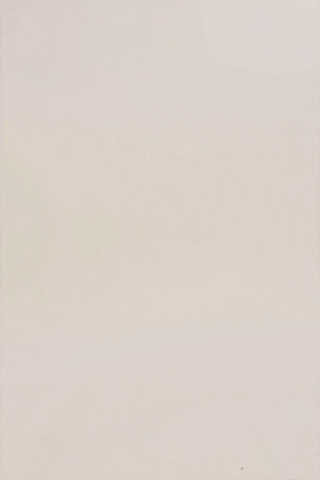 Roxy Long Sleeve Leotard