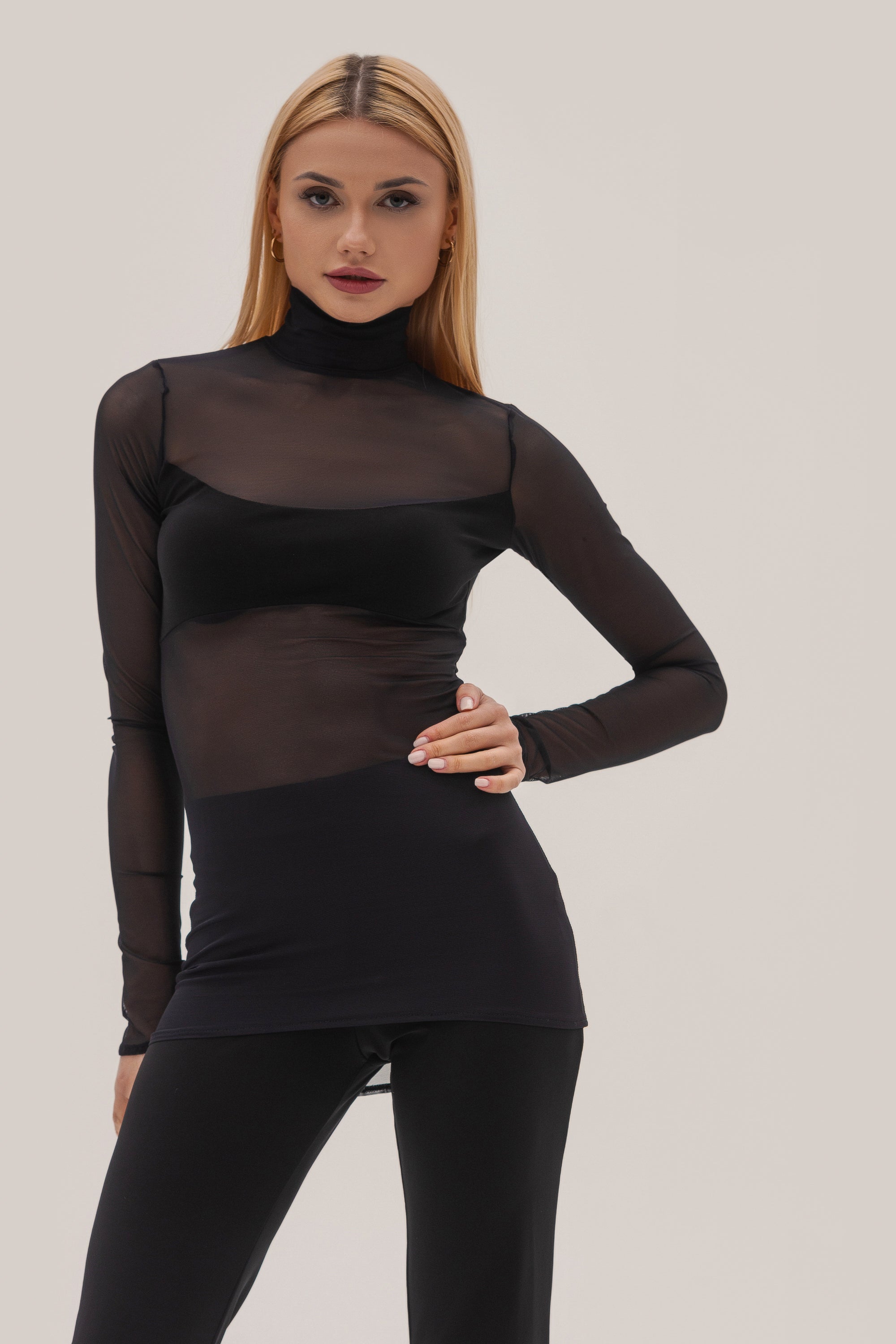 Sheer Turtleneck Top